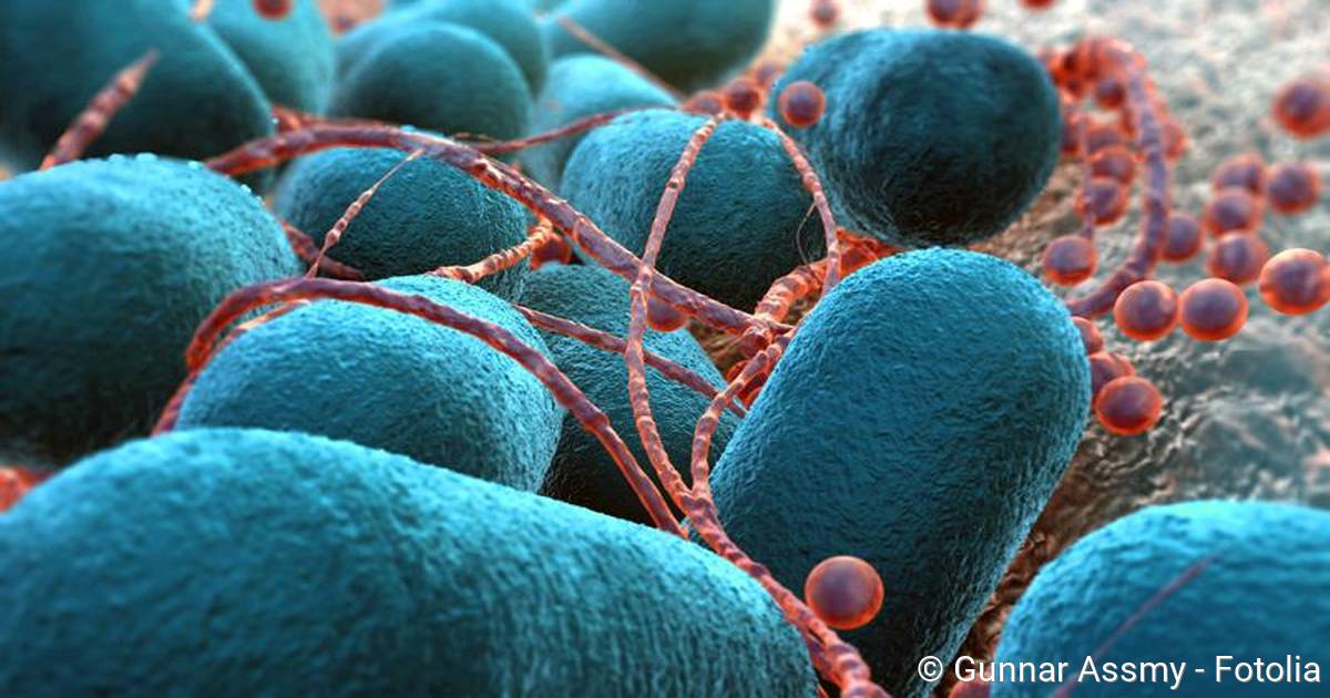 Magen Darm Grippe Dauer: Why Common Sources Fall Short